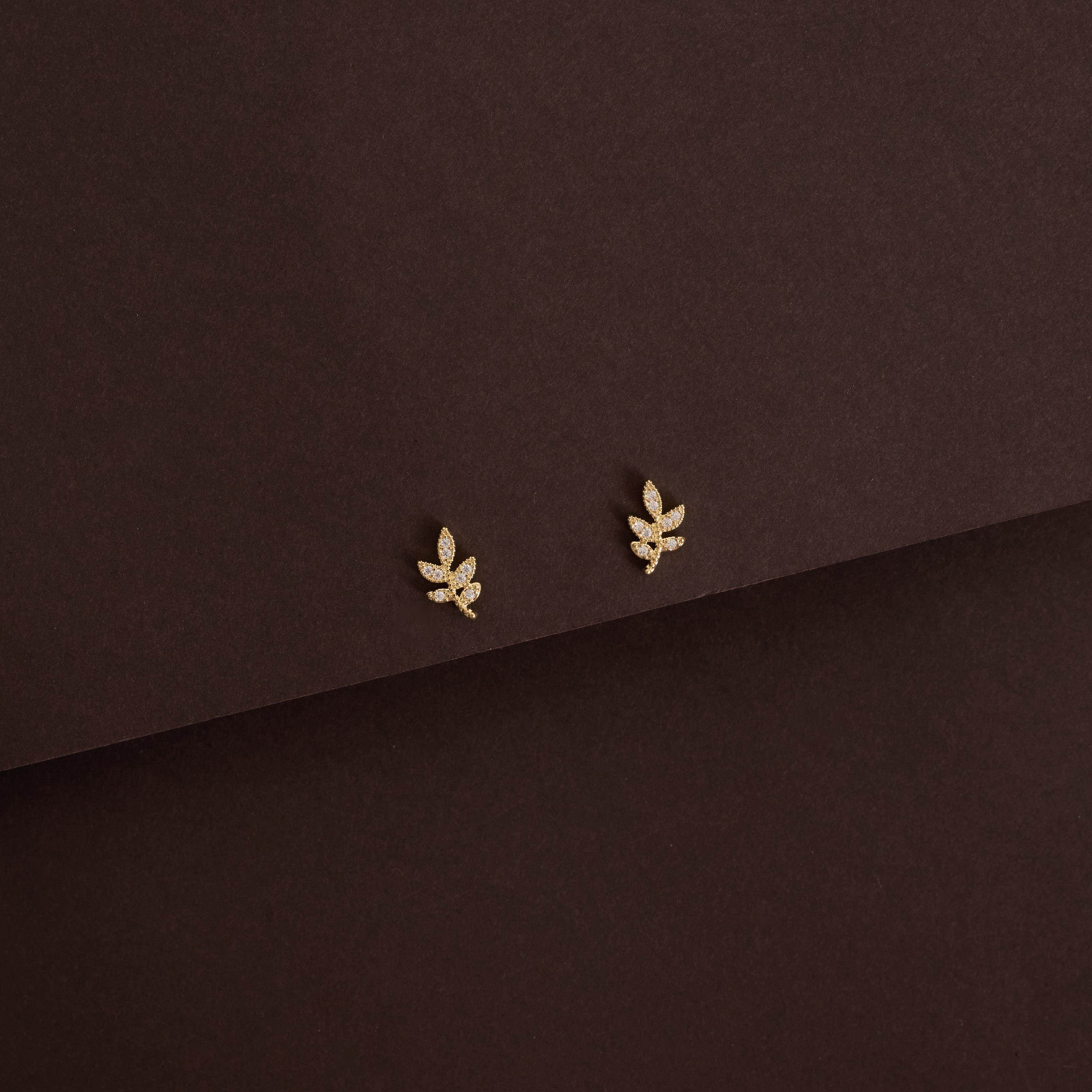 Brinco hera cravejada 10mm